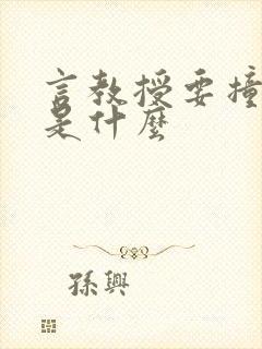 言教授要撞坏了是什么封面