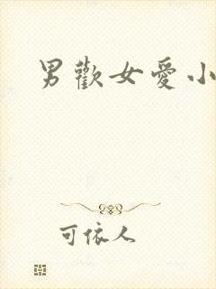 男欢女爱小说封面