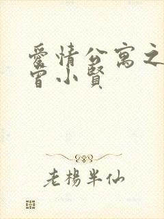 爱情公寓之极品曾小贤封面