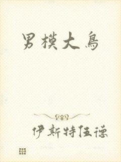 男模大鸟封面