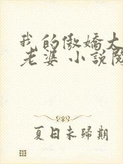 我的傲娇大小姐老婆 小说阅读封面