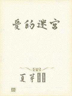 爱的迷宫
