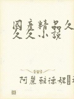 国产精品久久久久久小说