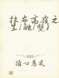 抹布高岭之花(生/触/双)