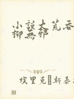 小说大荒吞天诀柳无邪