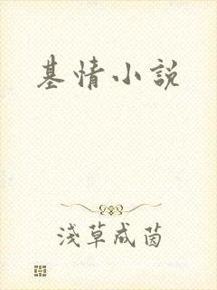 基情小说