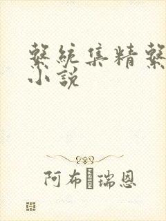 系统集精系统 小说