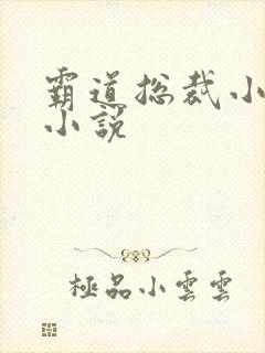 霸道总裁小娇妻小说