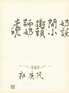 老师撕开奶罩揉吮奶头小说