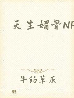 天生媚骨NPC