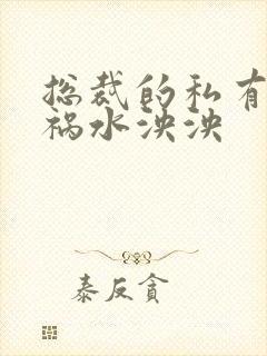 总裁的私有宝贝祸水泱泱