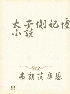 太子侧妃傻乎乎小说