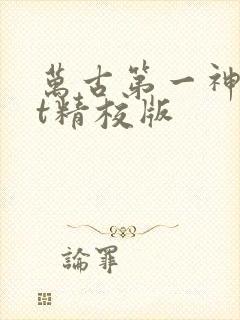 万古第一神txt精校版封面