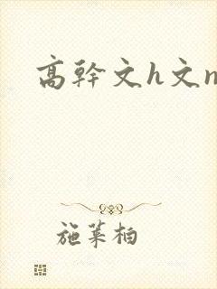 高干文h文np
