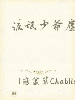 流氓少爷尘世游封面