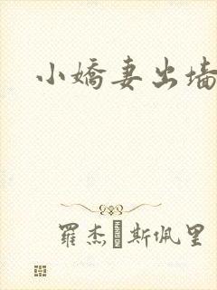 小娇妻出墙记