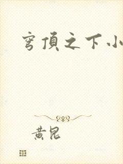 穹顶之下小说封面