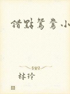 错点鸳鸯小说