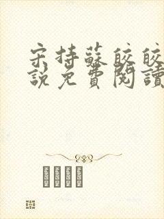 宋持苏皎皎的小说免费阅读封面