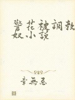 警花被调教成女奴小说封面