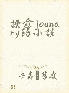 撩愈jounary的小说