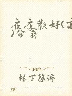 夜夜欢好(高h)公翁