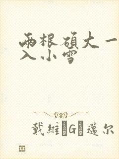 两根硕大一起挤入小雪