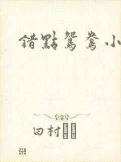 错点鸳鸯小说