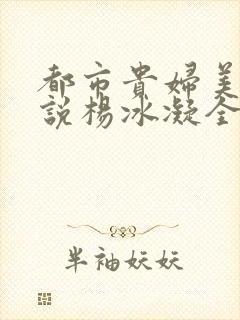 都市贵妇美腿小说杨冰凝全文阅读