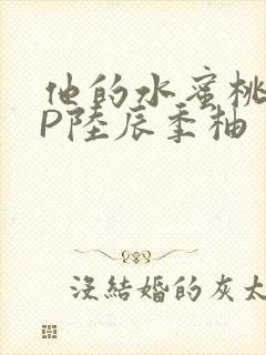 他的水蜜桃POP陆辰季柚