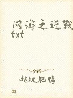 网游之近战法师txt