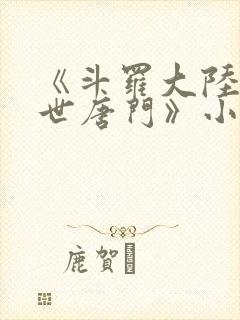 《斗罗大陆2绝世唐门》小说