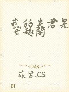 我的夫君是魔头笔趣阁