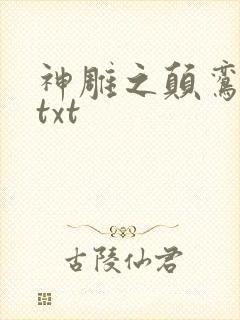 神雕之颠鸾倒凤txt