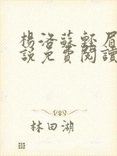 杨洛苏轻眉笔小说免费阅读