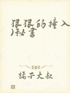 狠狠的撞入(h)秘书