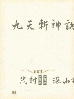 九天斩神诀林辰封面