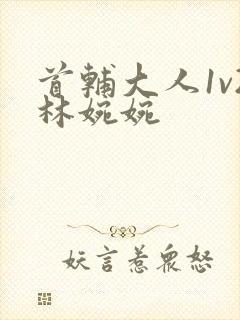 首辅大人1v2林婉婉封面