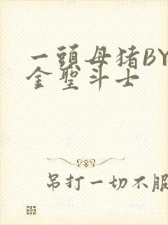 一头母猪BY黄金圣斗士封面