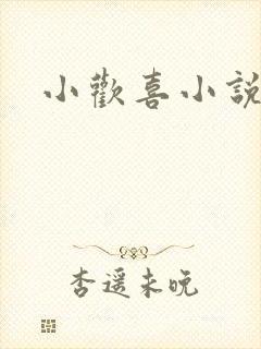 小欢喜小说