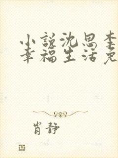 小说沈思李兵的幸福生活免费阅读