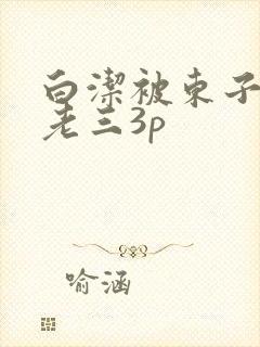 白洁被东子老二老三3p