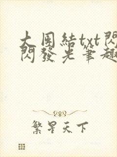 大团结txt闪闪发光笔趣阁