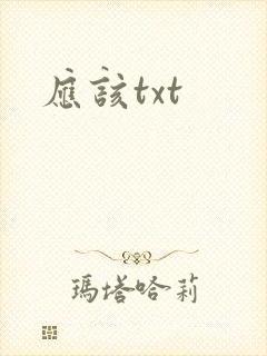 应该txt