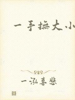 一手抚大小说