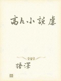 高h小说虐