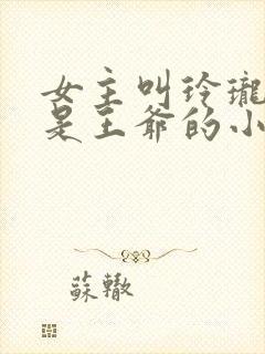 女主叫玲珑男主是王爷的小说