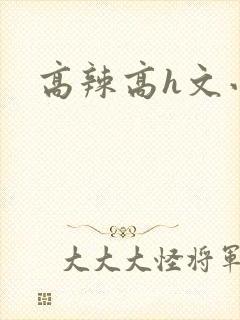 高辣高h文小说封面