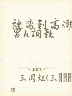 被脔到高潮的直男h调教