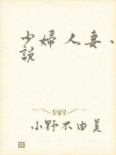 少妇 人妻 小说